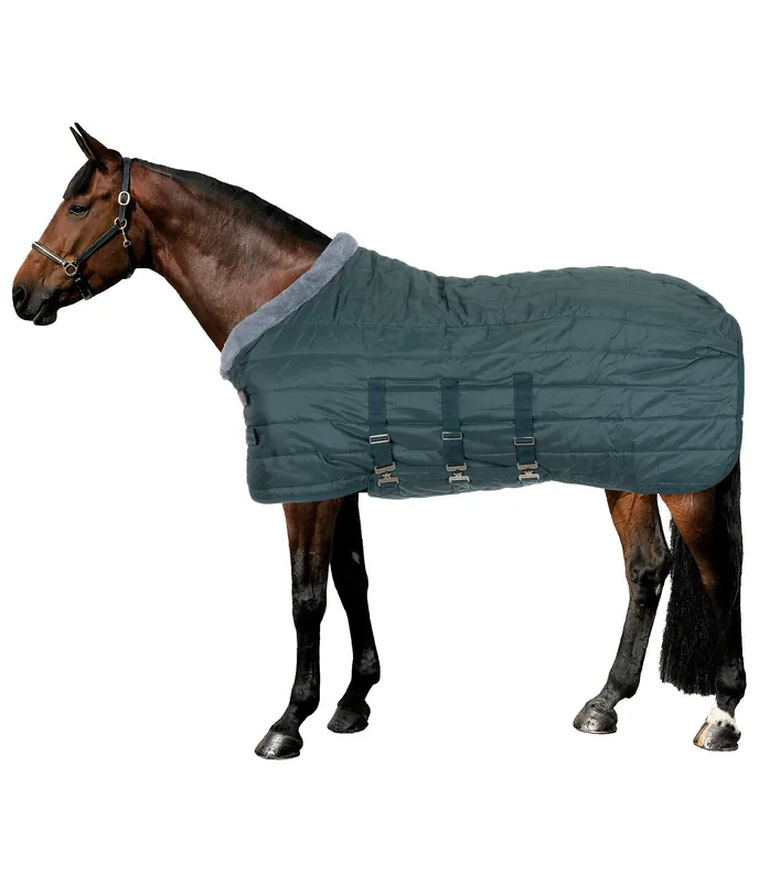Chemise d'écurie Stay Cosy - 422697-135-GT Vente Directe