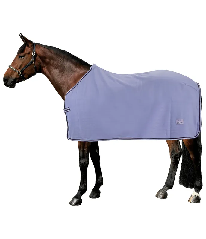 Artisanat Couverture polaire Economic - 422661-165-FA