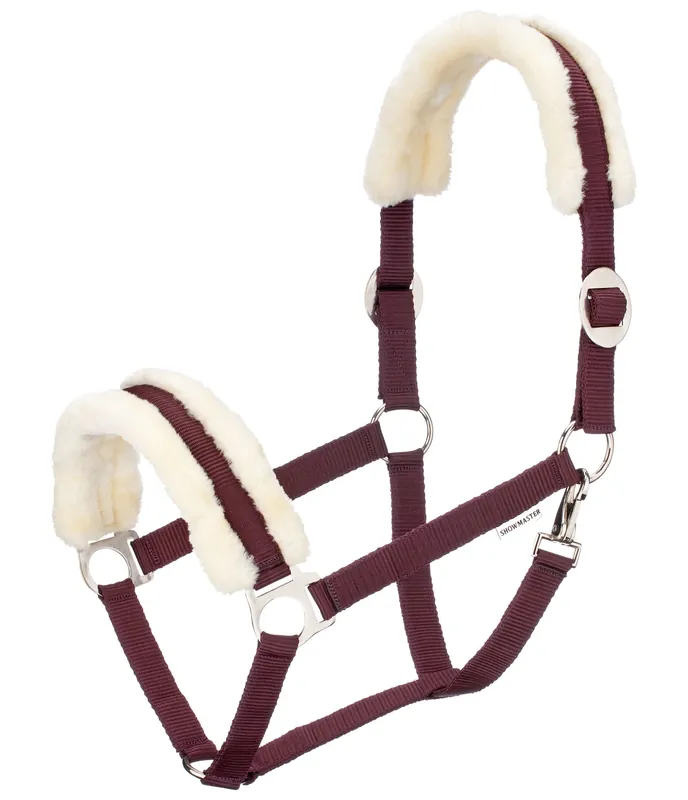 Licol en polaire Teddy à prix cassé III - 440826-F-MA Remise