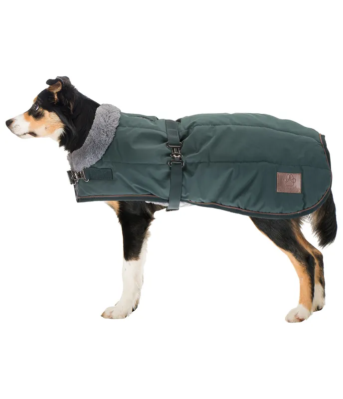 Haute Qualité Manteau d&rsquo;hiver pour chien avec doublure en fourrure Teddy Gizmo, 200 g – 231207-3XS-GT