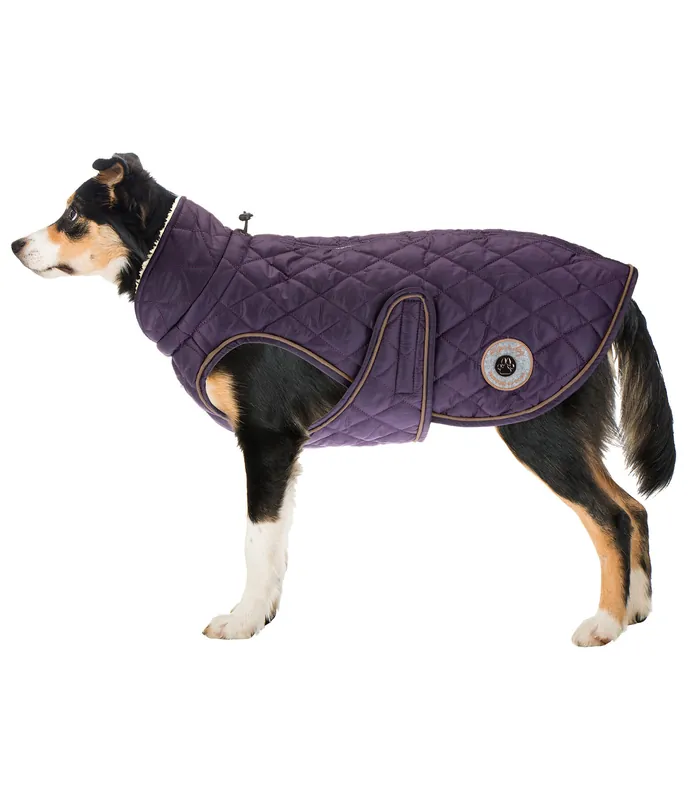 Acheter Direct Manteau avec doublure en polaire Teddy pour chien Archie, 160 g – 230955-3XS-DV