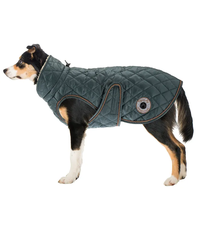 Fait Main Manteau avec doublure en polaire Teddy pour chien Archie, 160 g – 230955-3XL-GT