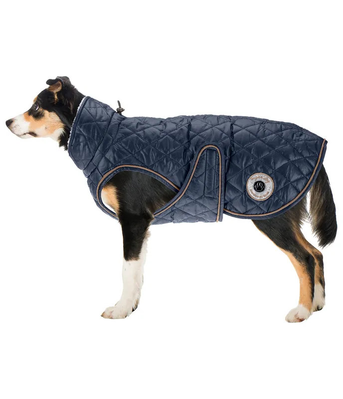 Artisanat Manteau avec doublure en polaire Teddy pour chien Archie, 160 g – 230955-XXS-NV