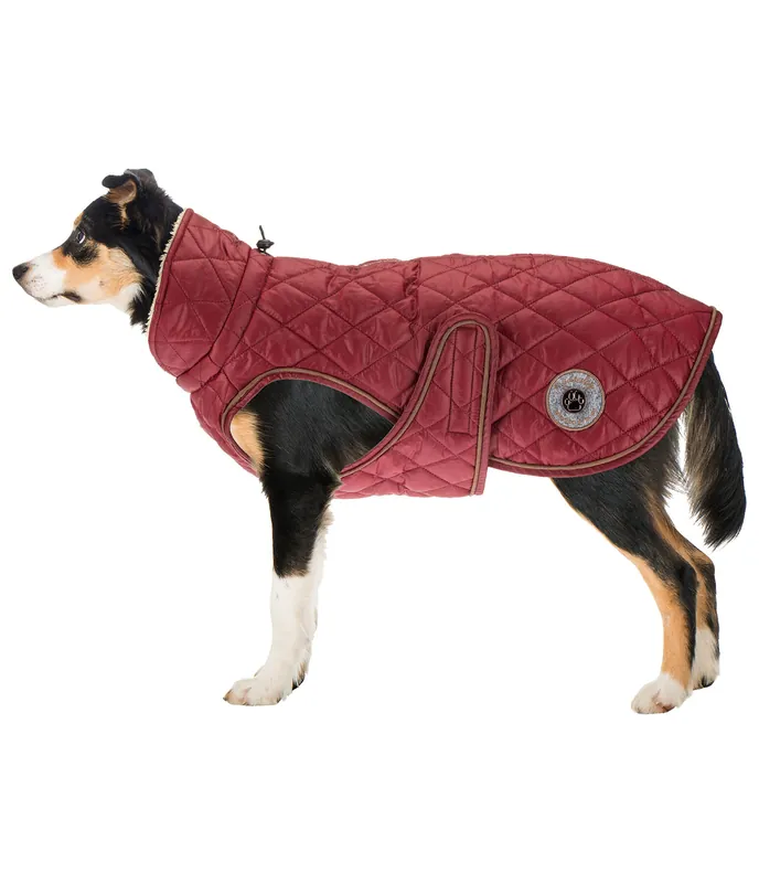 Acheter En Ligne Manteau avec doublure en polaire Teddy pour chien Archie, 160 g – 230955-3XL-RP