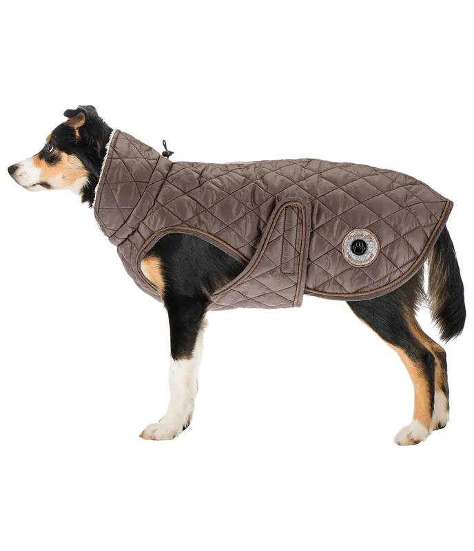 Expédition Rapide Manteau avec doublure en polaire Teddy pour chien Archie, 160 g – 230955-3XL-ZT