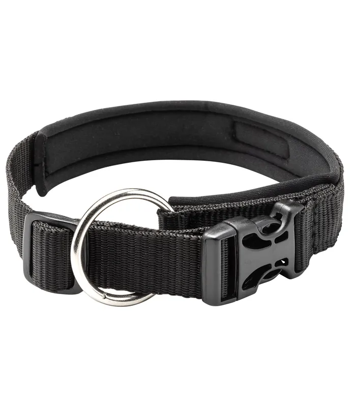 Collier pour chien Becks – 231007-S-S Garantie Incluse