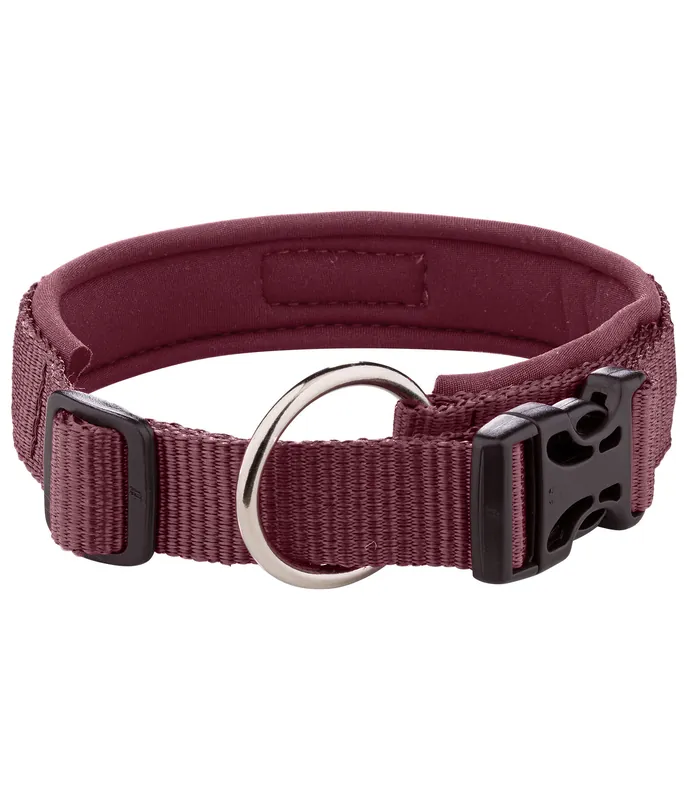 Collier pour chien Becks – 231007-S-BO Meilleur Prix