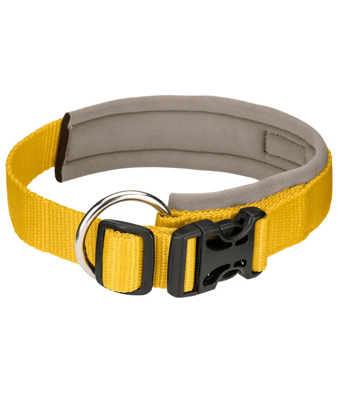 Collier pour chien Becks – 231007-S-GM Dernier Modèle
