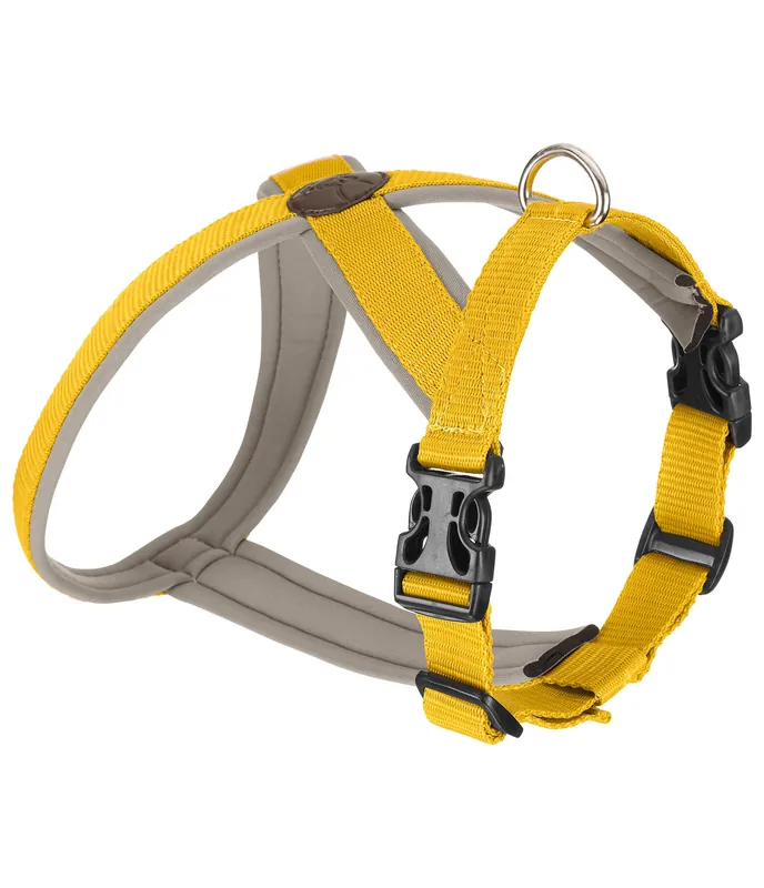 Expédition Rapide Harnais pour chien Piper – 231053-XS-GM
