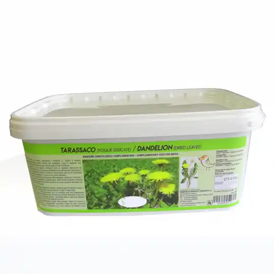 Livraison Gratuite Feuille de pissenlit moulue