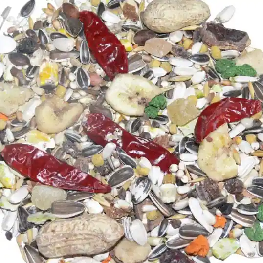 Manitoba African Parrots 15kg Meilleur Choix