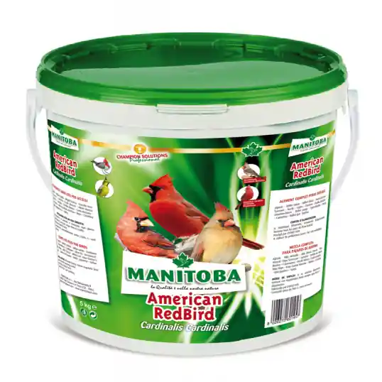 Manitoba American Red Bird – Mélange pour Cardinal 5kg Usine Directe