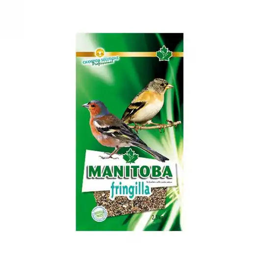 Manitoba Fringilla – Fringillidés – 2,5 kg Vente Flash