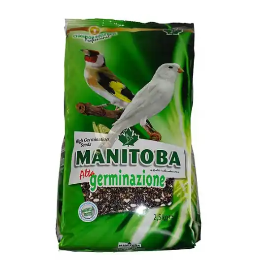Manitoba Haute Germination – 20 kg Achat Immédiat