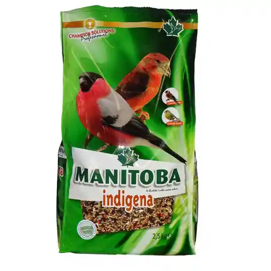 Manitoba indigènes : Mélange de graines pour bouvreuil, verdier, bec croisé – 2.5kg Prix Bas