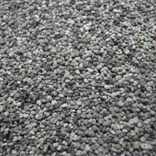 Dernière Chance Manitoba oeillette ou Pavot bleu 1kg