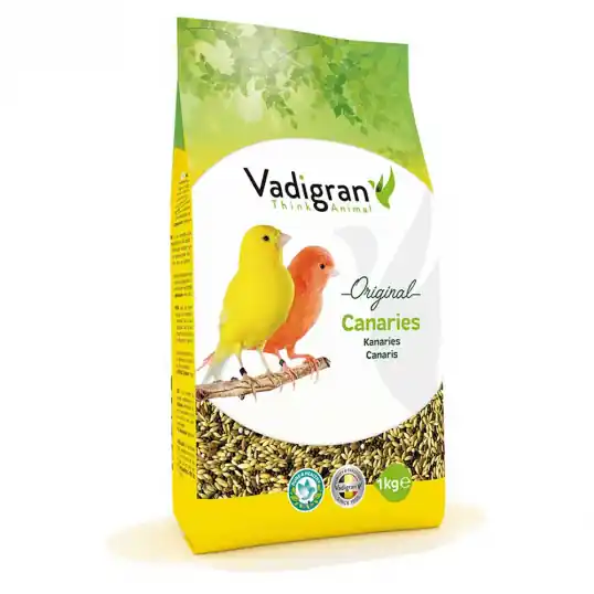 Prix Réduit Vadigran Original Canaris