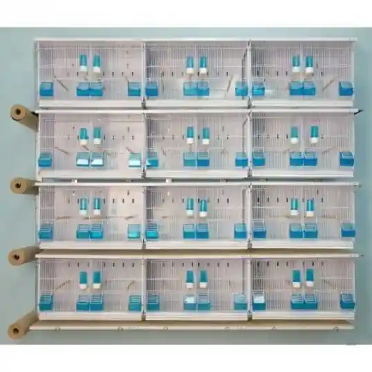 Meilleure Vente Batterie d&rsquo;élevage 12 cages 63x40x40 – Système papier – New Canariz