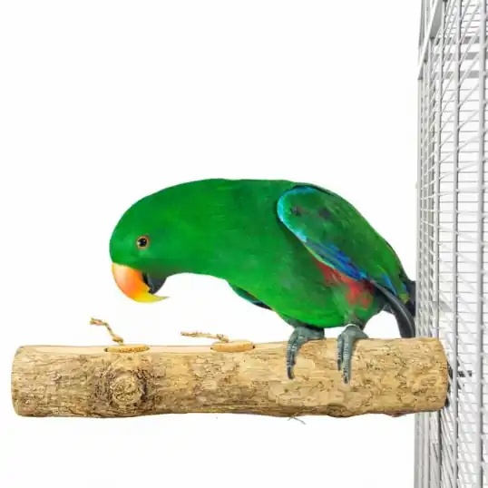 Offre Du Jour Perchoir Fruity pots Foraging – Back Zoo Nature