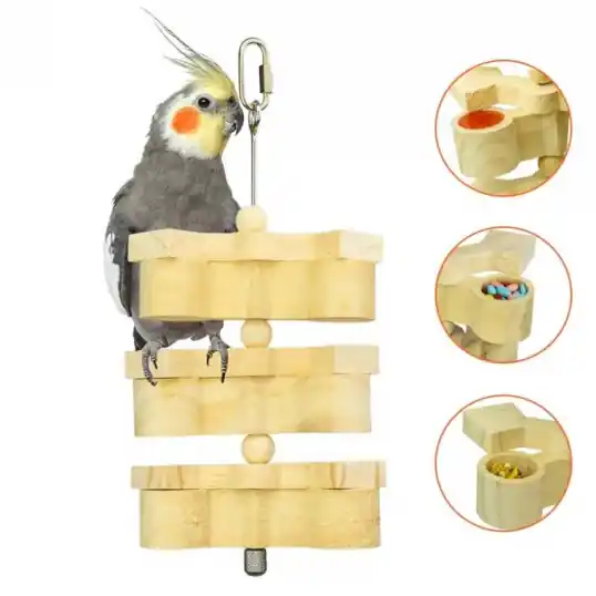 Back Zoo Nature Foraging – Cache Fruity pots et friandises Meilleur Choix