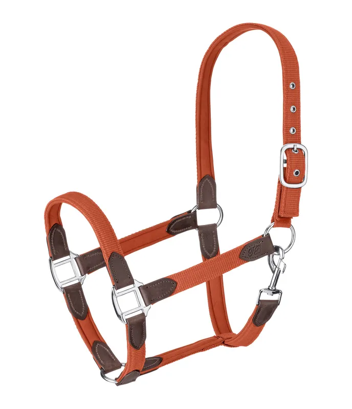 Vente Flash Licol Kate - 440499-C-OR