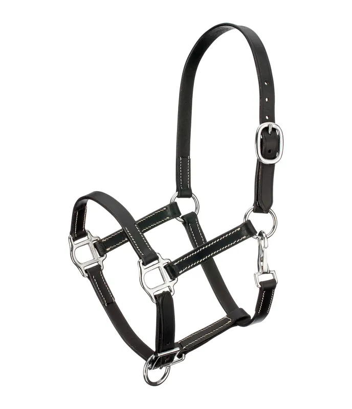 Licol poulain en cuir Classic – 440914-FO-SS Produit De Marque