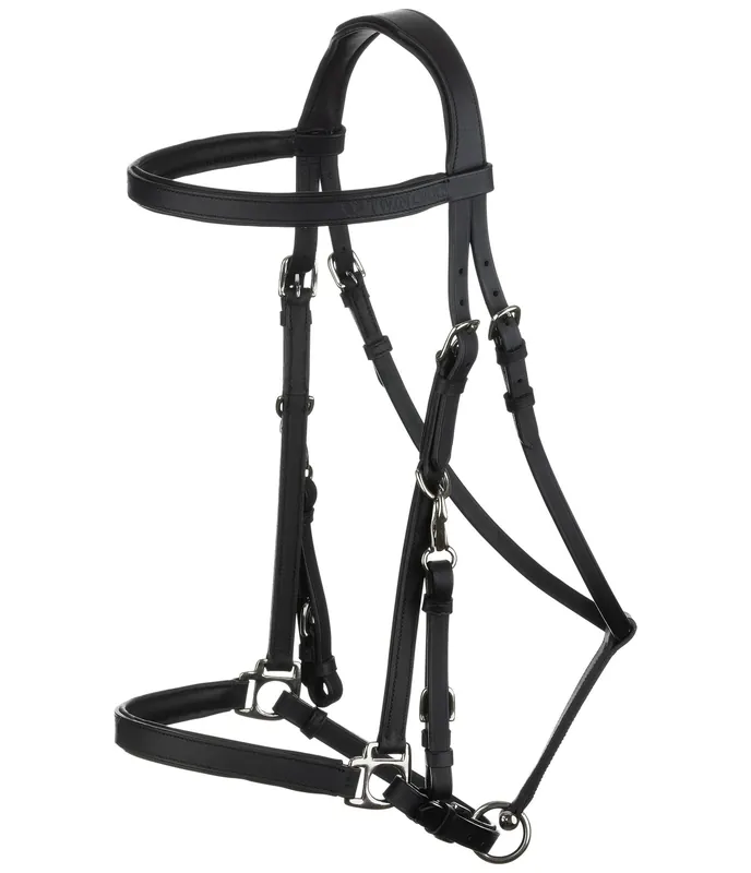 Achat Immédiat Bridon de randonnée Nevada – 183389-F-S