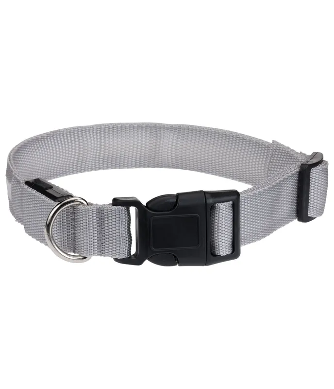 Collier pour chien LED Loom – 340991-L-FO Must-Have