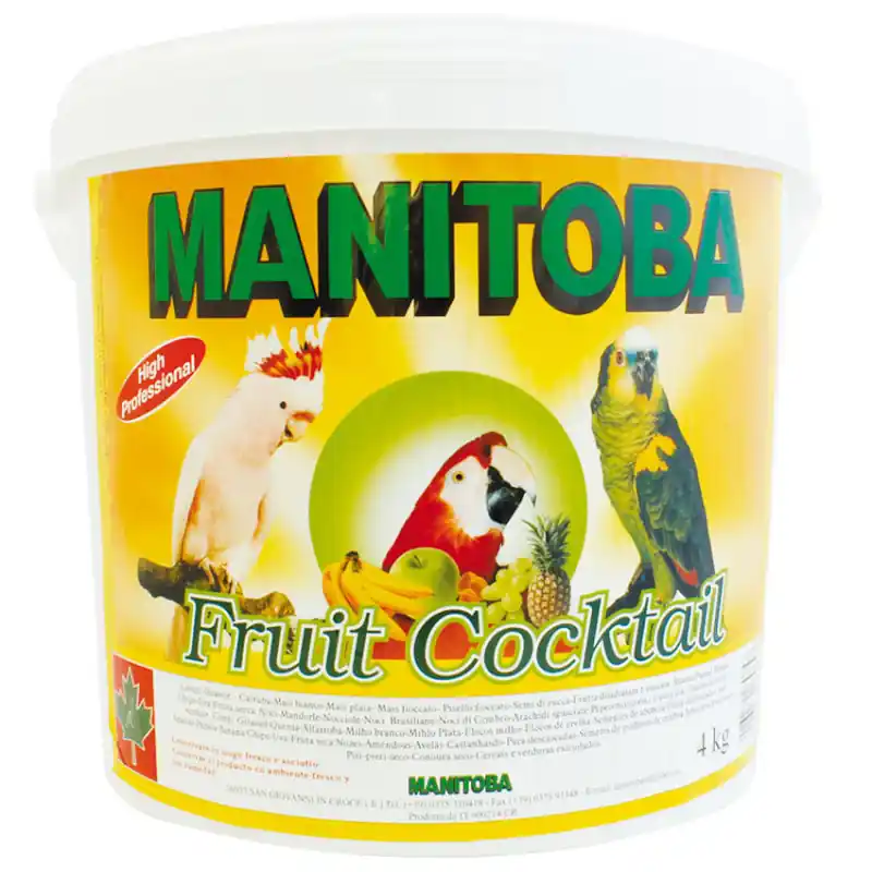 Manitoba Fruit Cocktail 4 kg Marque
