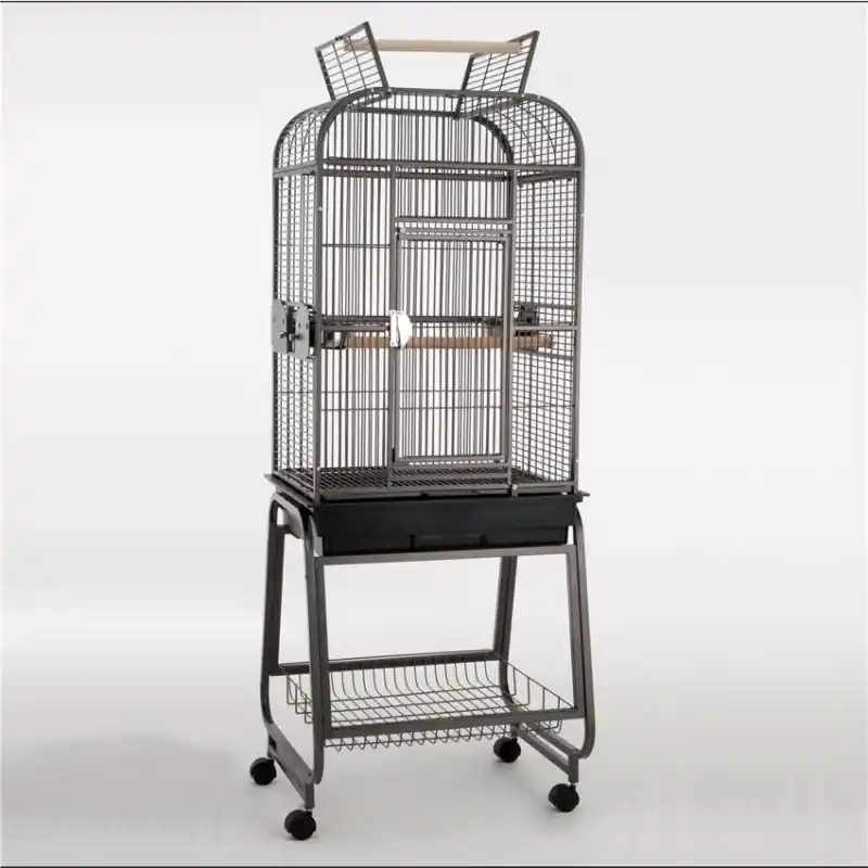 Meilleure Vente Cage Perruche Torrente 2