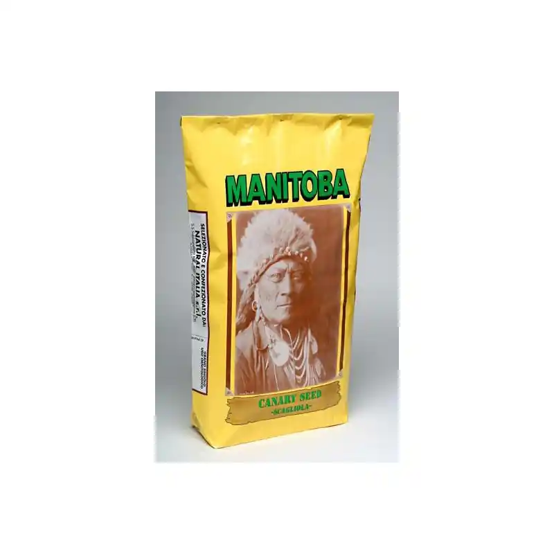 Fait Main Manitoba – Graine d&rsquo;Alpiste Canadien – Vrac 1 kg