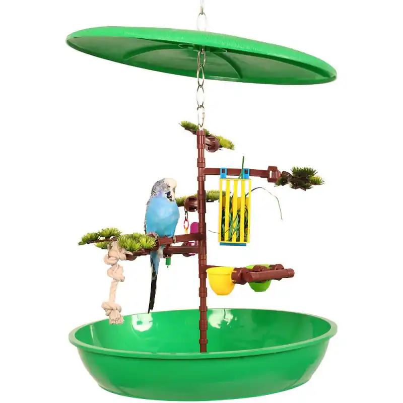 L&rsquo;Arbre Magique – Jouet Perruche Petit Prix