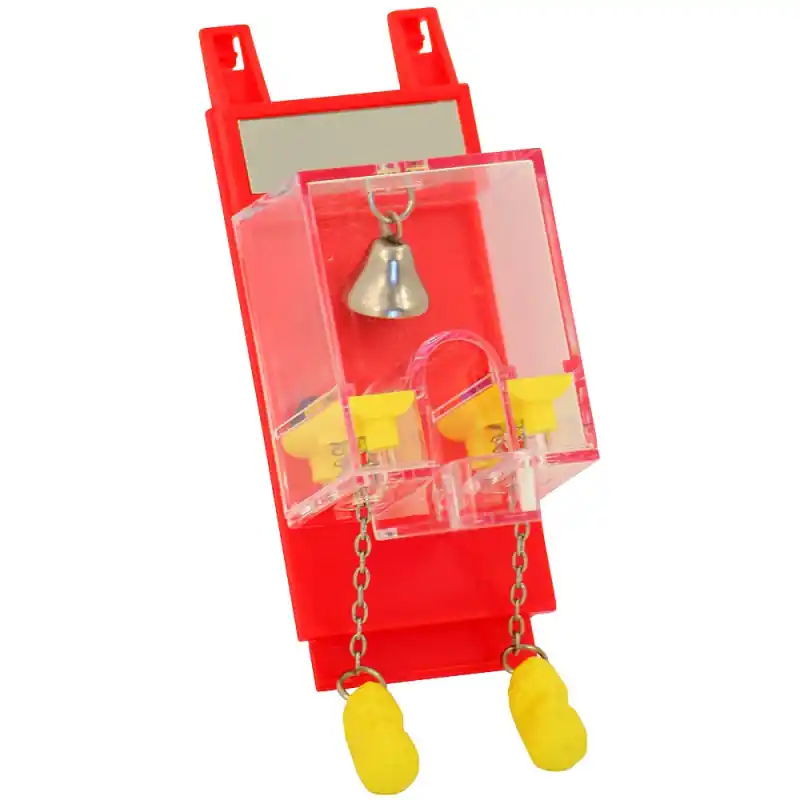 Livraison Express Mini Flipper Cacahuète – Jouet Perruche