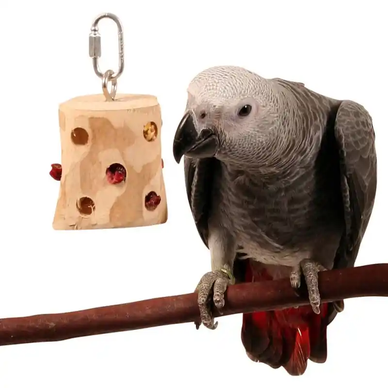 ZooFaria – Silo à Friandise pour Fruits Secs Affaire À Saisir