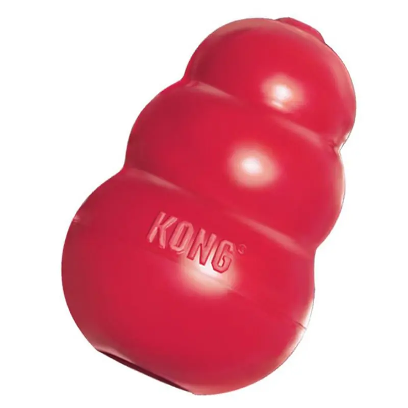 Jouet de Foraging Kong Large – Distributeur Alimentaire pour perroquets Achetez Aujourd’hui