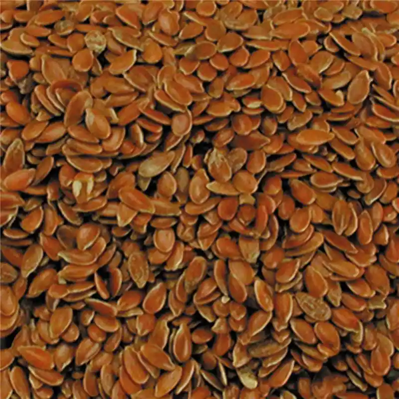 Graines de Lin – Détail 1 kg En Vogue