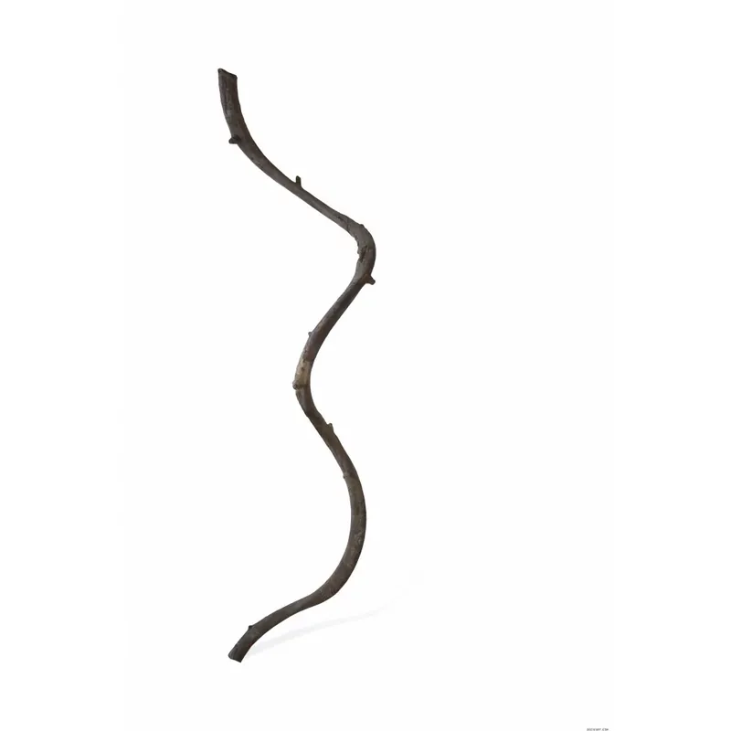 LIANE 60-80CM Prix Choc