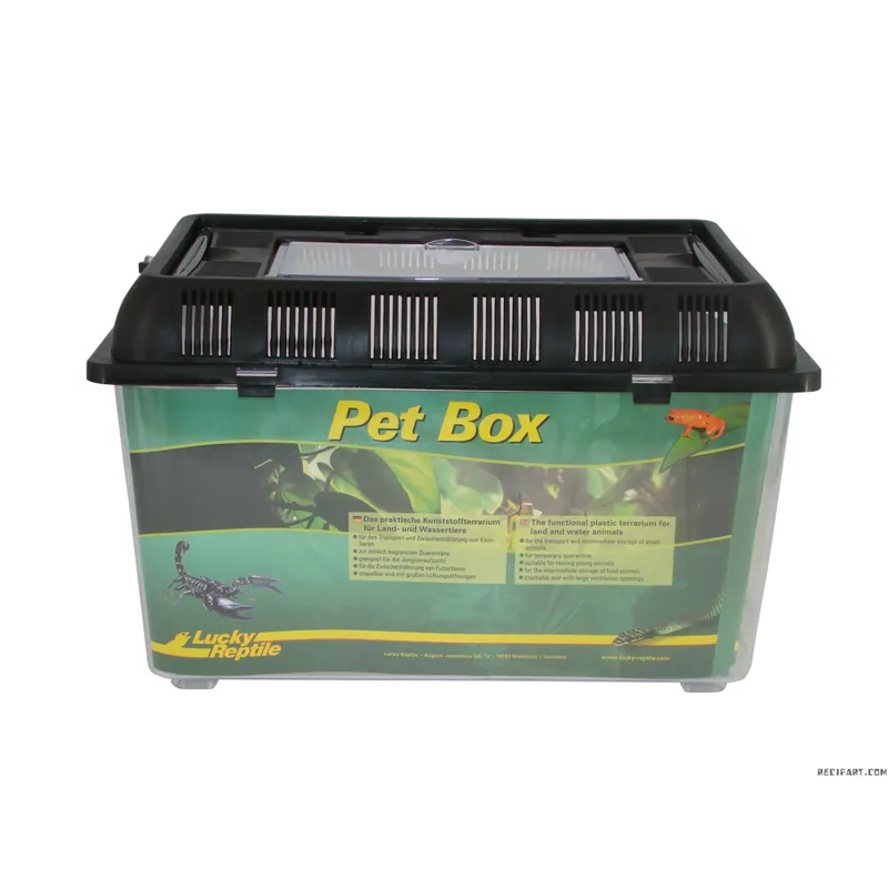Achat Immédiat Pet Box medium