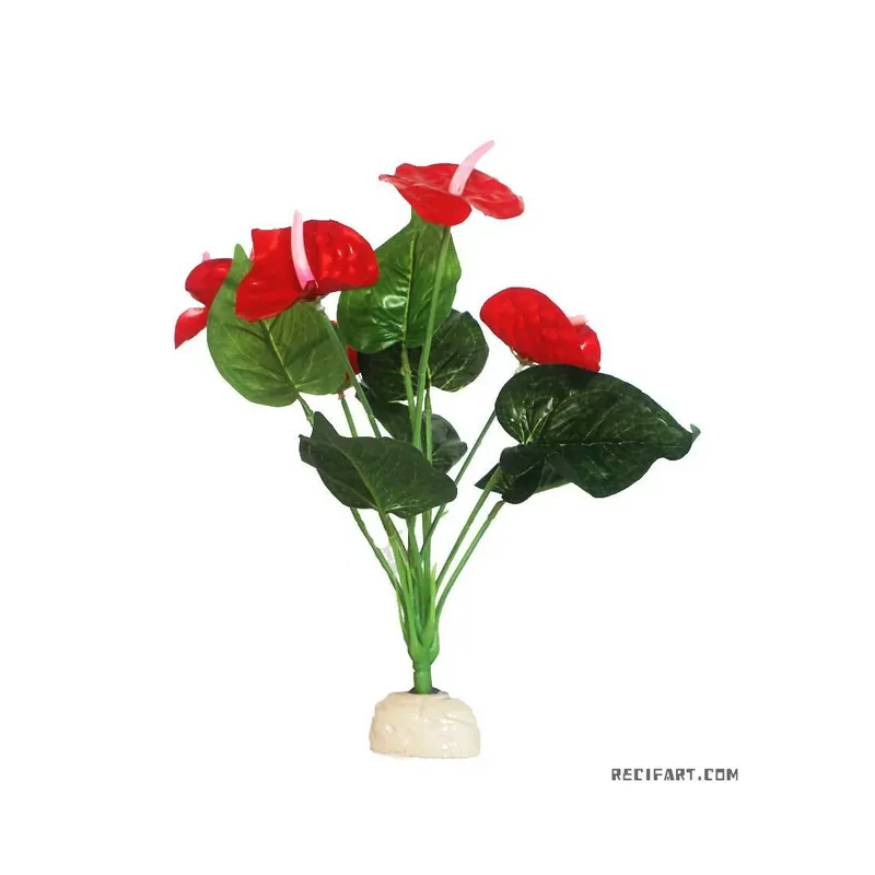 Garantie Incluse Red Anthurium Plant 33 cm sur socle