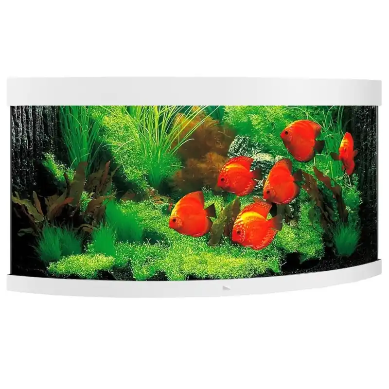 Authentique JUWEL Trigon 350 LED Blanc aquarium d&rsquo;angle équipé 87 x 87 x 65 cm 350 L