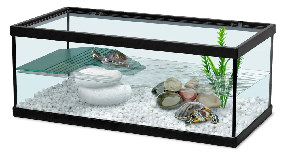 Acheter Direct ZOLUX Aqua Tortum 40 Noir aquaterrarium pour tortues aquatiques et amphibiens. Dimensions : 40 x 20 x 18 cm