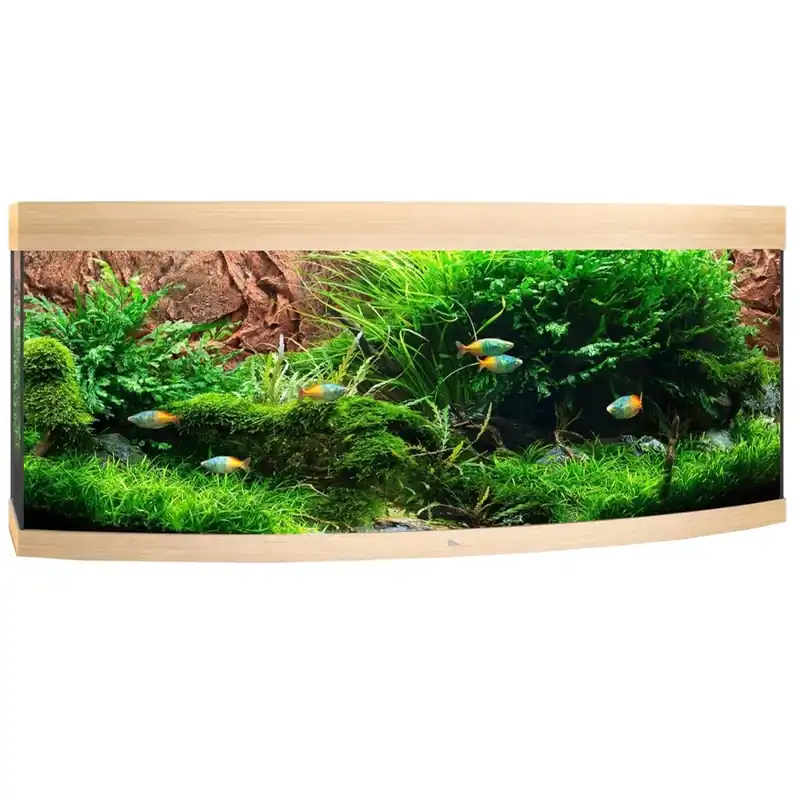 Achetez Aujourd’hui JUWEL Vision 450 LED Chêne Clair aquarium panoramique équipé 151 x 61 x 64 cm 450 L