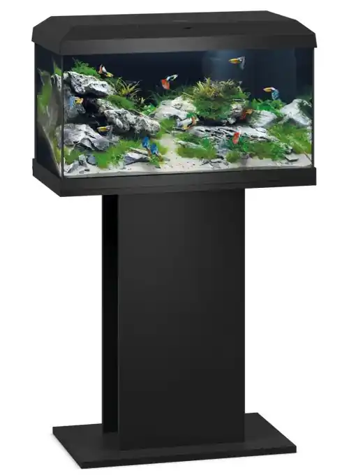 Expédié Aujourd’hui JUWEL Combinaison Primo 60 LED 2.0 Noir aquarium équipé 57 L dimensions 61 x 31 x 36,5 cm avec meuble
