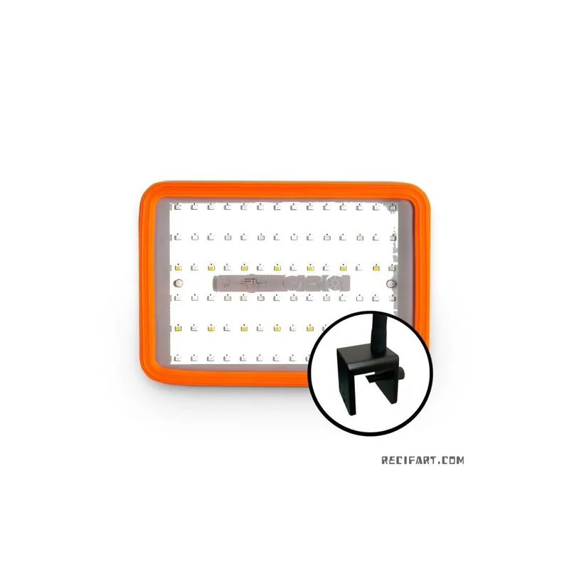 Must-Have GRO Macroalgae Light – Pince plate
