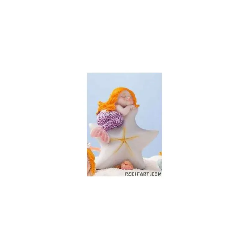 Décoration « Mermaid 4 » pour Aqua Pod Affaire À Saisir
