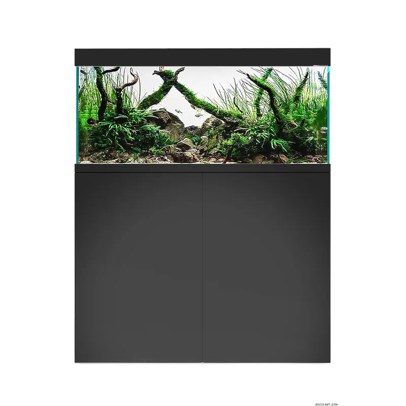 EDEN 80 Noir Prix Choc