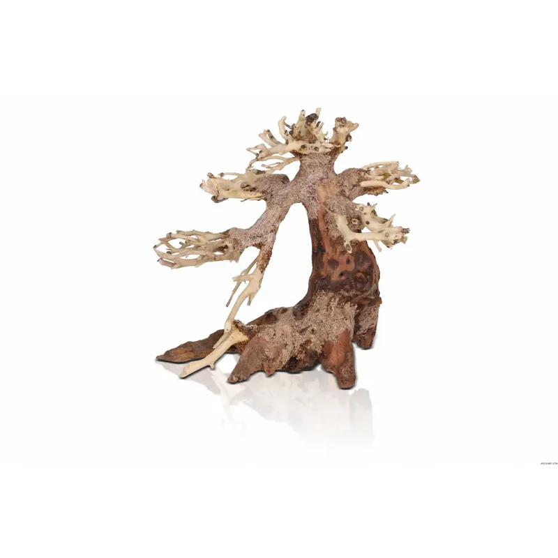AQUAVIE BONSAI NATUR XS Acheter En Ligne