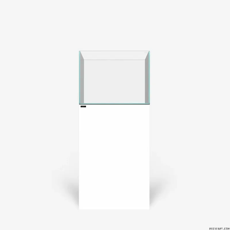 CLEAR 2420 Blanc En Vogue