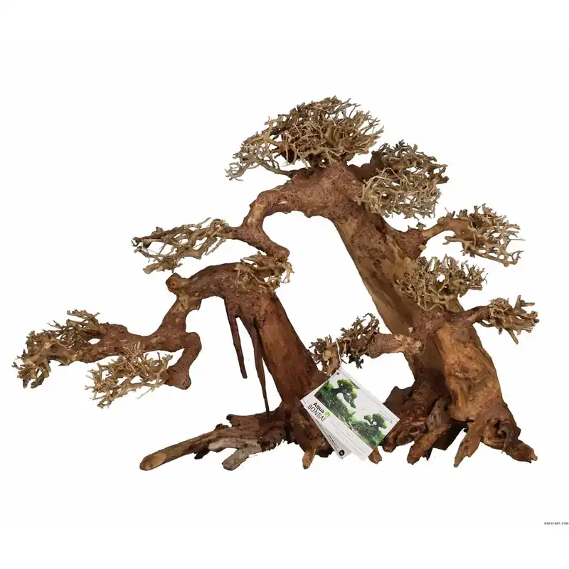 AQUAVIE BONSAI NATUR XL++ Seulement Aujourd’hui