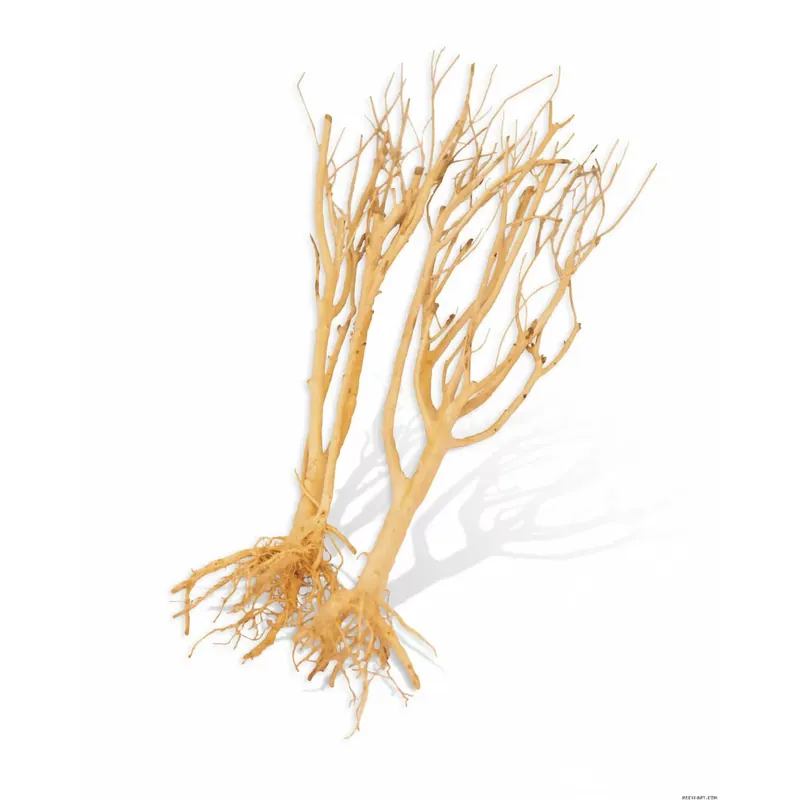 Acheter En Ligne Mini Tree M 26-35cm